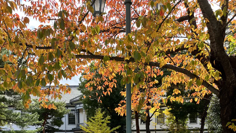 福島県立安積高等学校で模擬授業